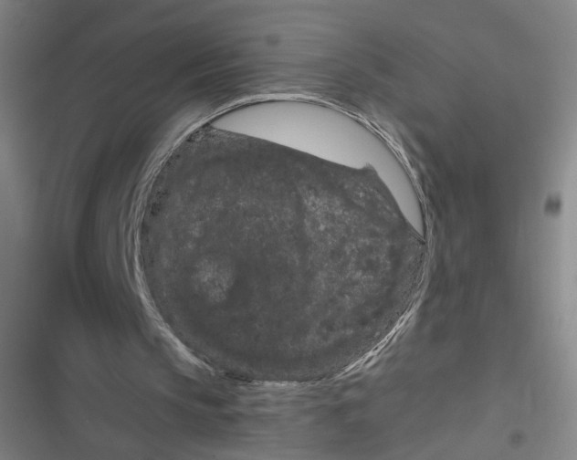 X0000116870145201001121309