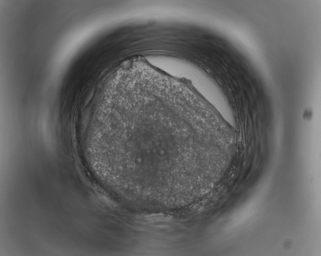 X0000116870146201001121309