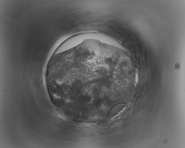 X0000116870147201001121309