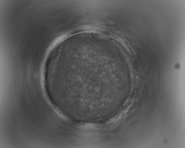 X0000116870149201001121309