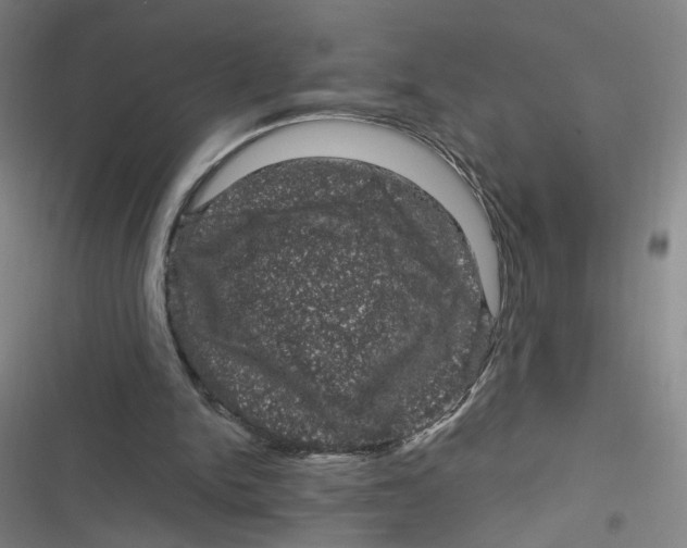 X0000116870150201001121309