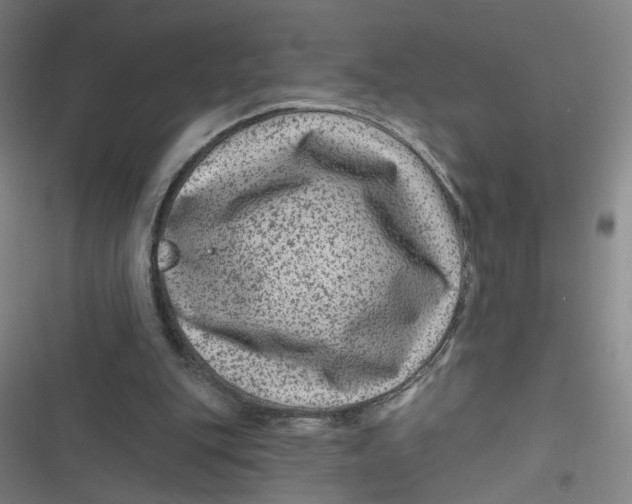 X0000116870151201001121309