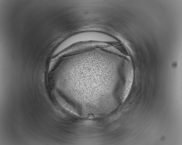 X0000116870153201001121309