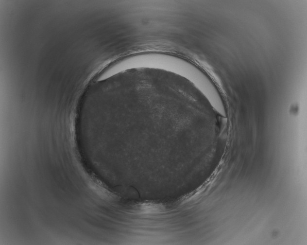 X0000116870154201001121309