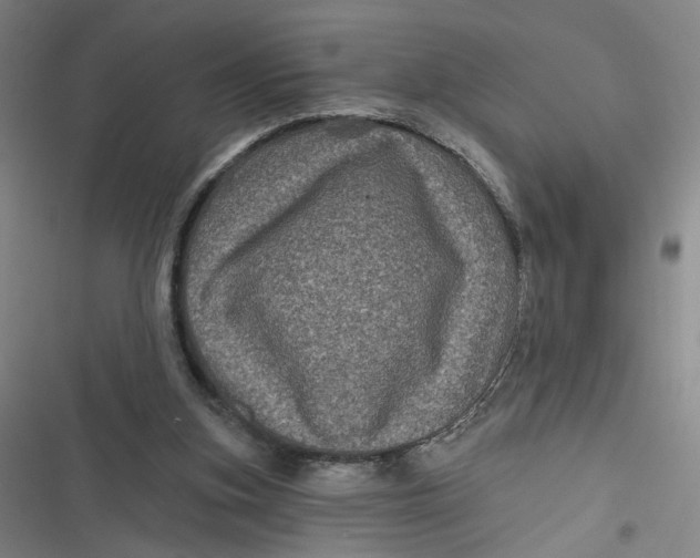 X0000116870155201001121309