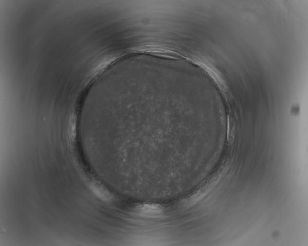 X0000116870157201001121309