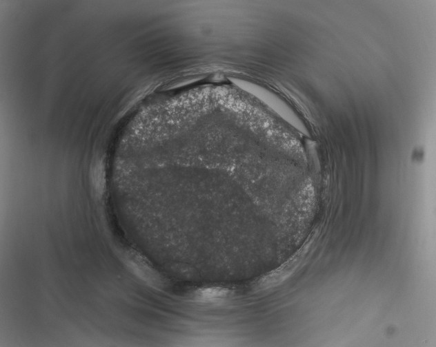 X0000116870158201001121309