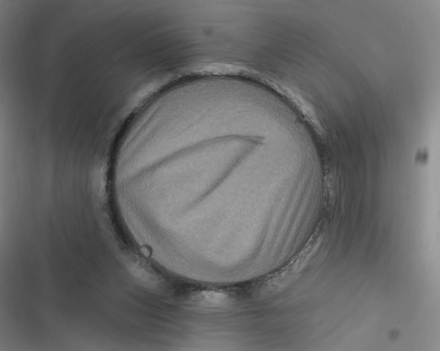 X0000116870159201001121309