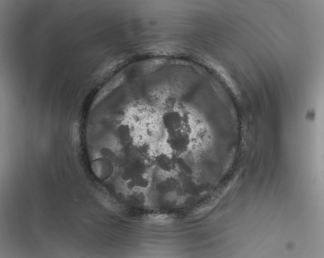 X0000116870161201001121309