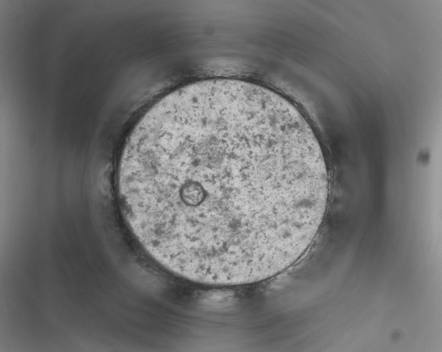 X0000116870162201001121309