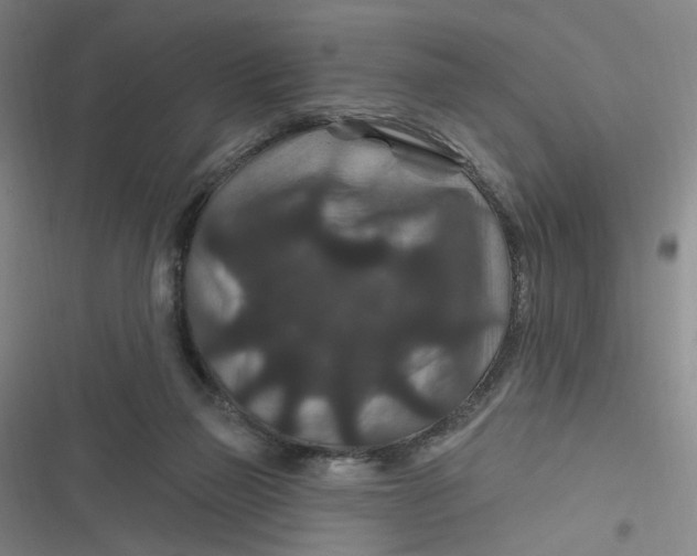 X0000116870165201001121309