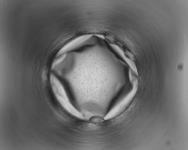 X0000116870166201001121309