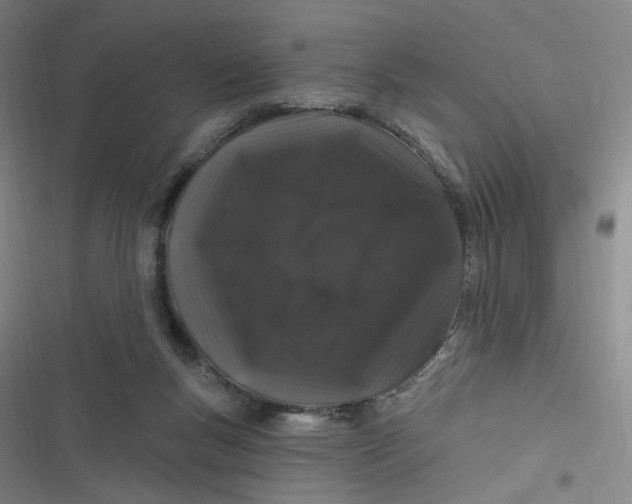 X0000116870167201001121309