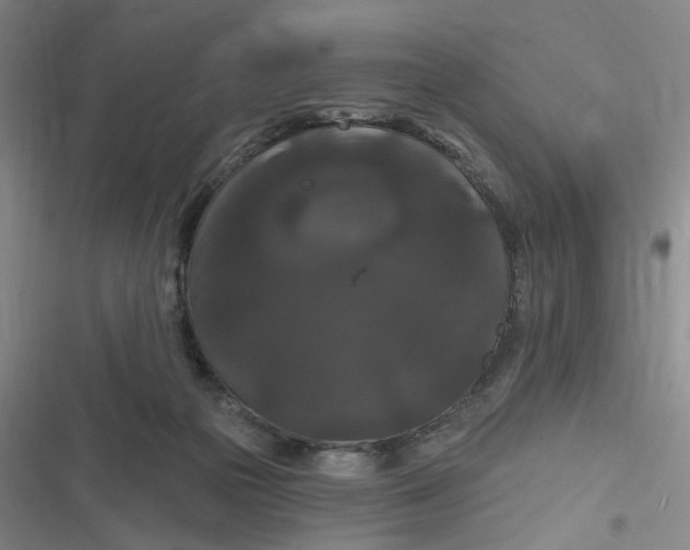 X0000116870169201001121309