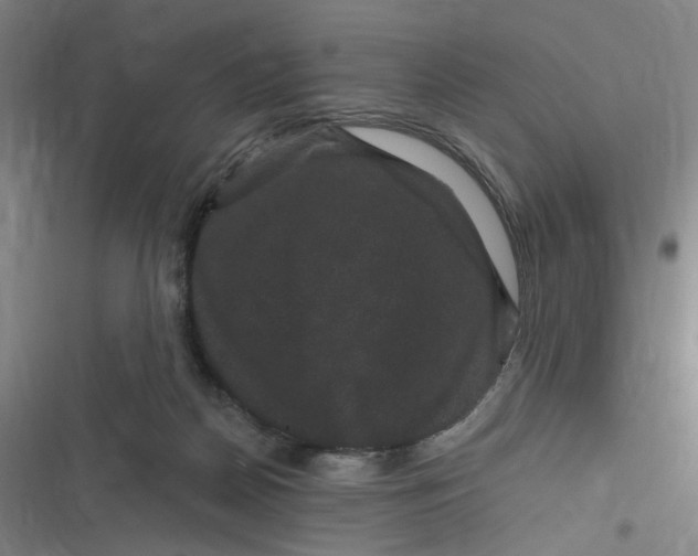 X0000116870170201001121309