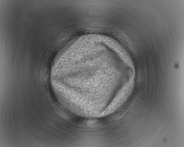 X0000116870173201001121309