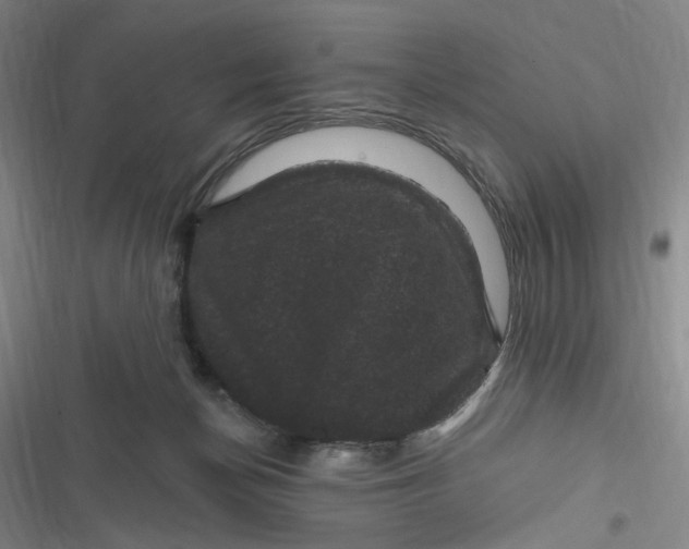 X0000116870174201001121309