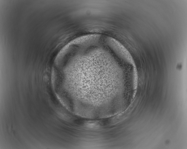 X0000116870175201001121309