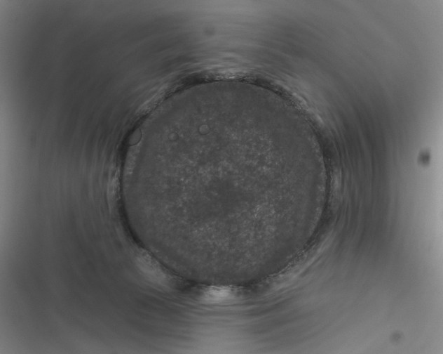 X0000116870177201001121309