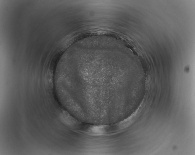 X0000116870178201001121309