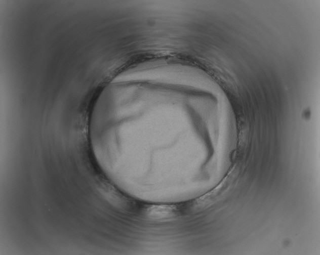 X0000116870179201001121309