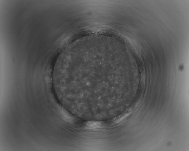 X0000116870181201001121309