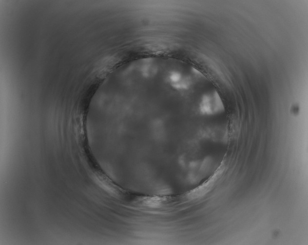 X0000116870182201001121309