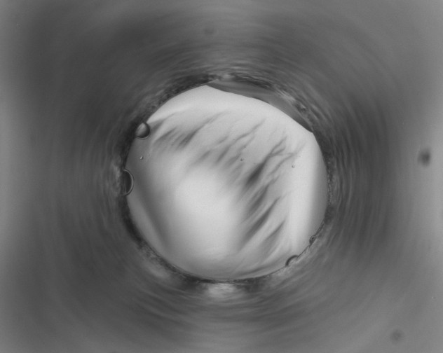 X0000116870183201001121309