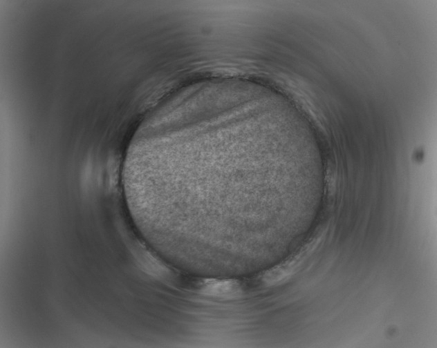 X0000116870185201001121309