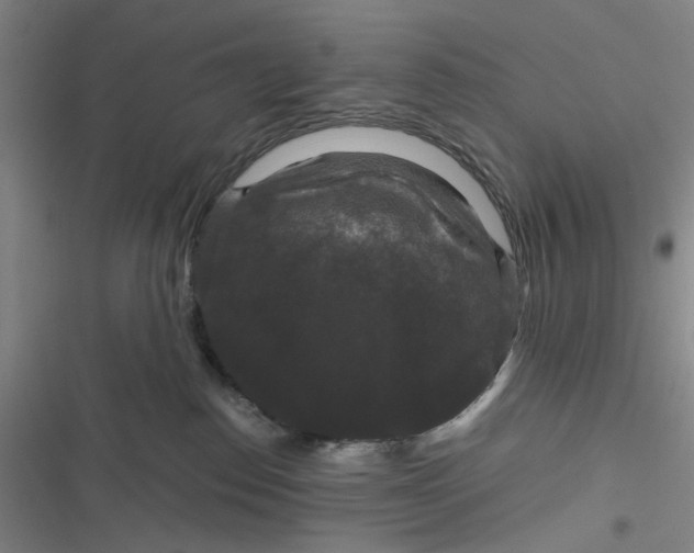 X0000116870186201001121309