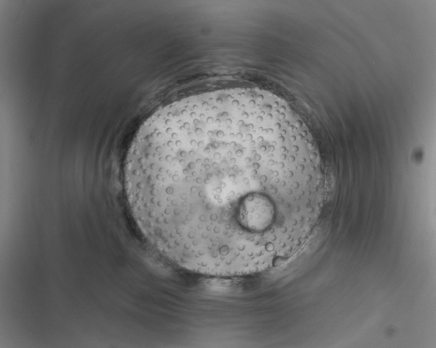 X0000116870187201001121309