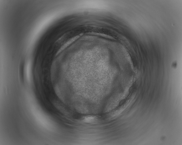 X0000116870189201001121309