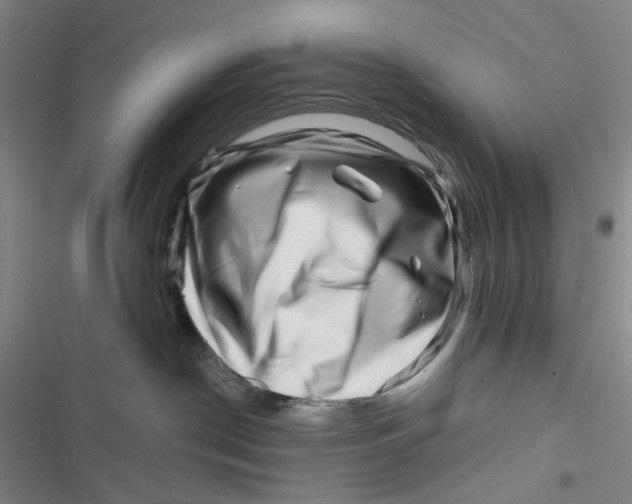 X0000116870190201001121309