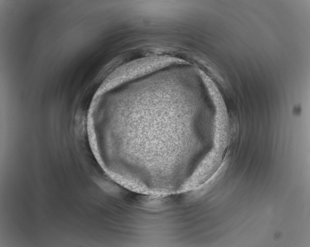 X0000116870191201001121309