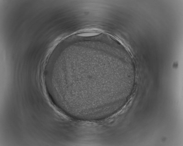 X0000116870193201001121309