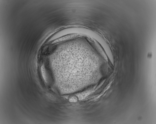 X0000116870194201001121309