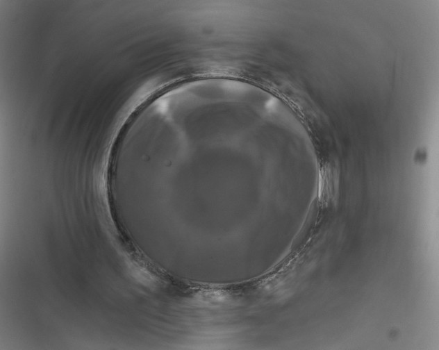 X0000116870195201001121309