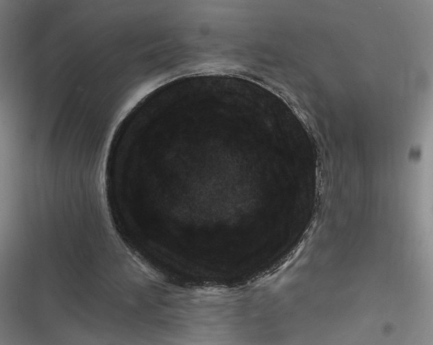 X0000116870196201001121309