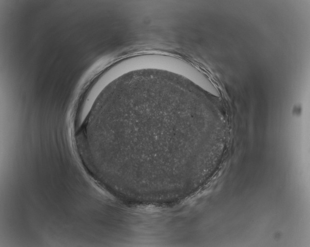 X0000116870197201001121309