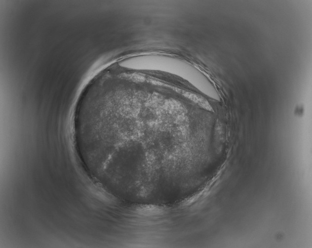 X0000116870198201001121309