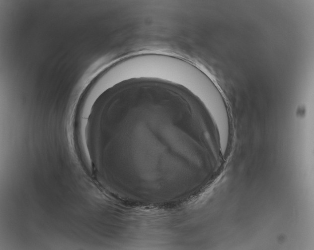 X0000116870199201001121309