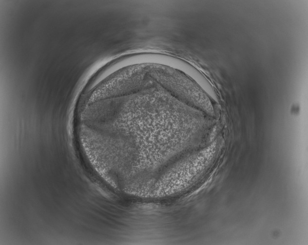 X0000116870200201001121309