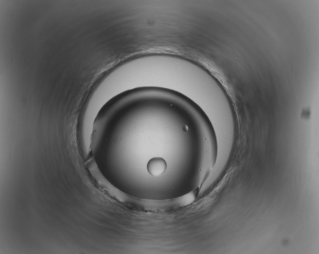 X0000116870201201001121308