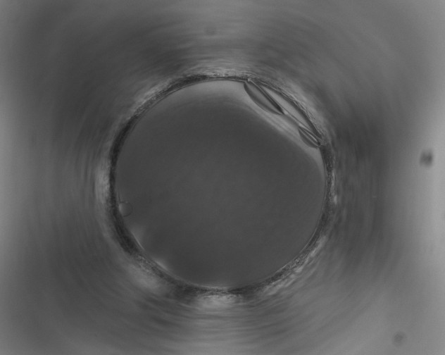 X0000116870202201001121308