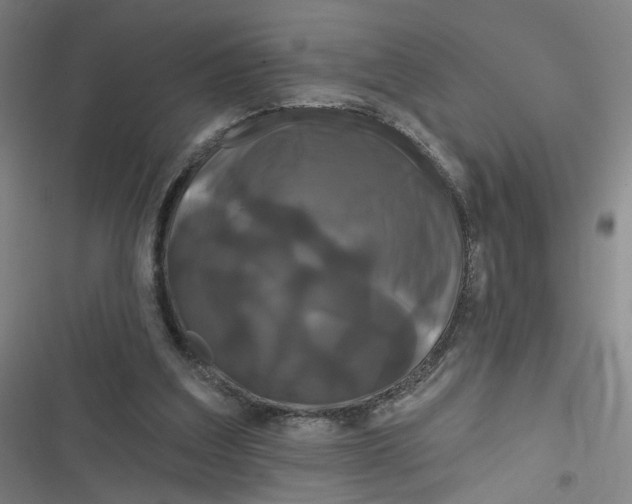 X0000116870203201001121308