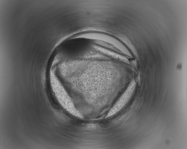 X0000116870204201001121308