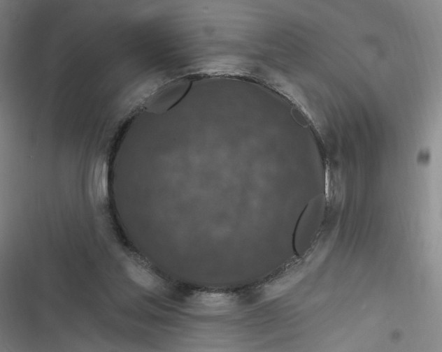 X0000116870205201001121308