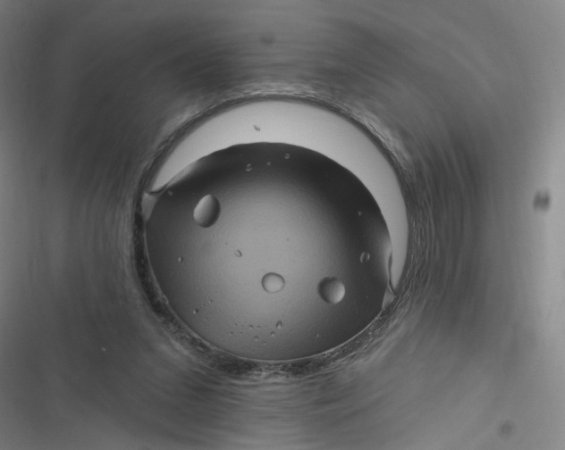 X0000116870207201001121308