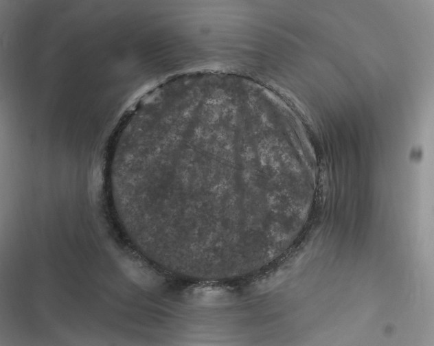 X0000116870208201001121308