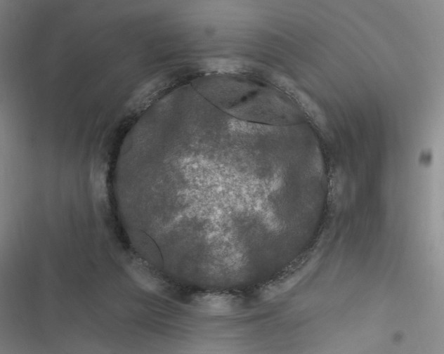 X0000116870209201001121308